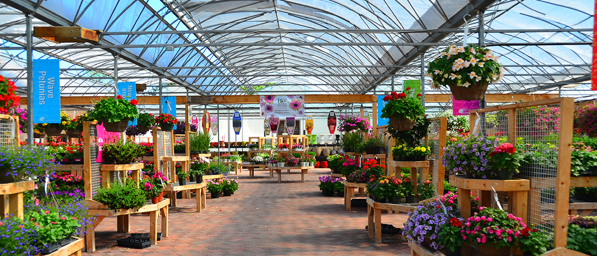 Garden Centre Quality Plants Supplies Johnston S Greenhouse