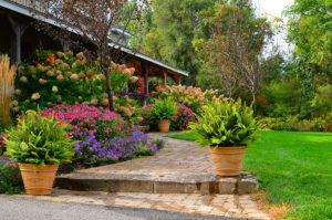 A garden view with softscaping by Johnston's Greenhouse