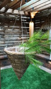 14" Rustic Cone Hanging Basket